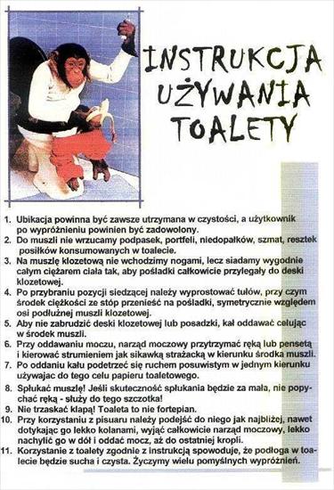 Śmieszne Dyplomy - uzywanie_toalety.jpg