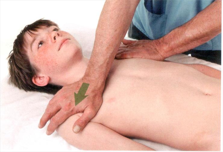 Anatomia masażu - 4-61.JPG