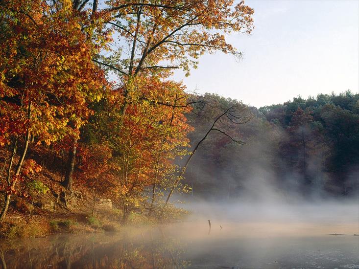 jesień - Mist and Autumn Color along Stahl Lake, Indiana.jpg