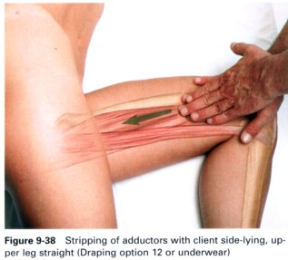 Anatomia masażu - 9-38.JPG