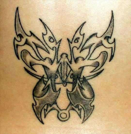 Paczka 100 zdjęć tatuaży  Część 18 - Tribal Butterfly_Tattoo.jpg