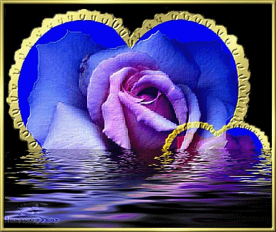 kochane serduszka - niebieskie serce i roze w wodzie.gif