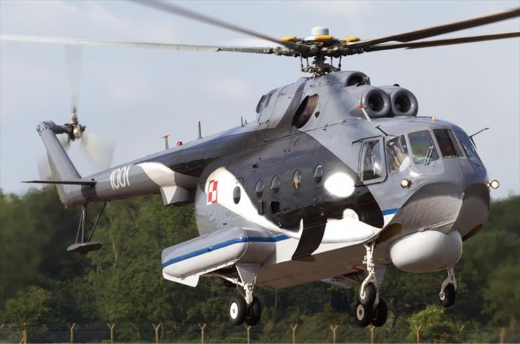 Mi-14 - Polish_Navy_Mil_Mi-14PL_Lofting-1.jpg