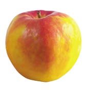 jabłka - 7.jpg