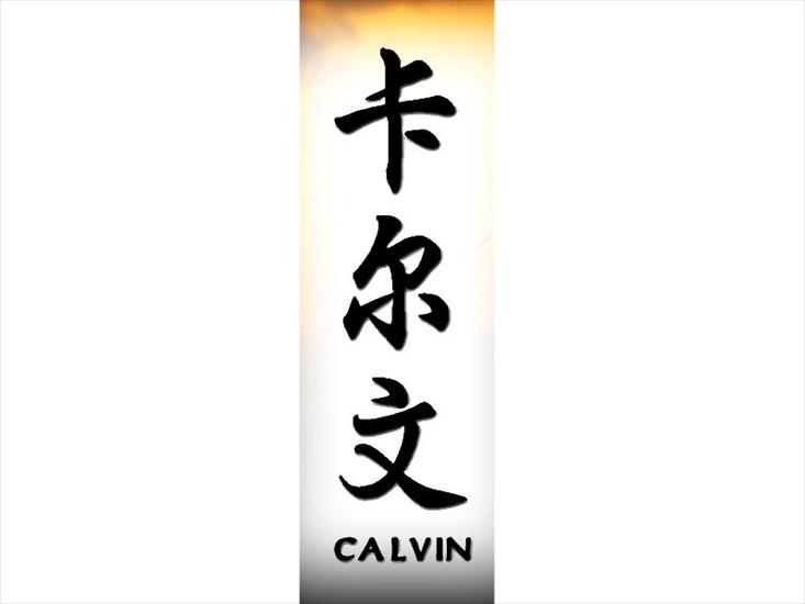C_800x600 - calvin800.jpg