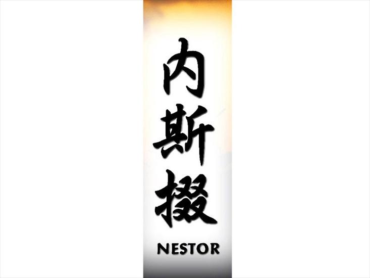 N_800x600 - nestor.jpg