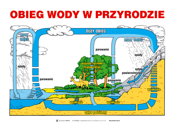 tablice edukacyjne1 - obieg wody w przyrodzie1.jpg