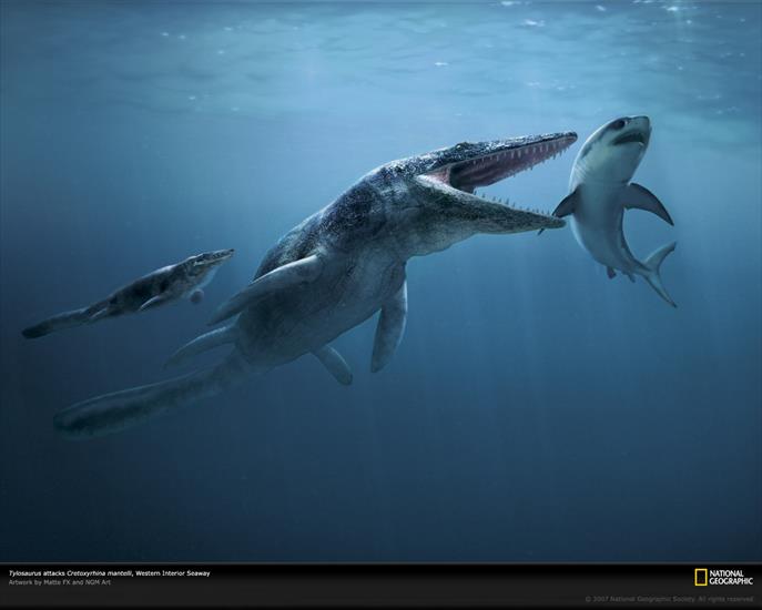  Prehistoria - tylosaurus-attack-983128-xl.jpg