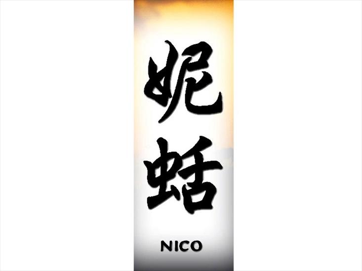 N_800x600 - nico.jpg
