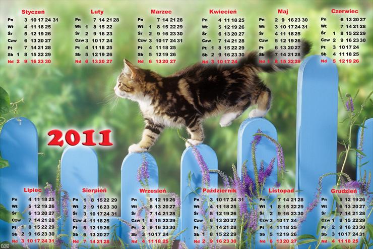 1.Kalendarze 2011r - Kalendarz 2011 kot.png
