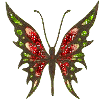 motyle i owady - btterfly071.gif
