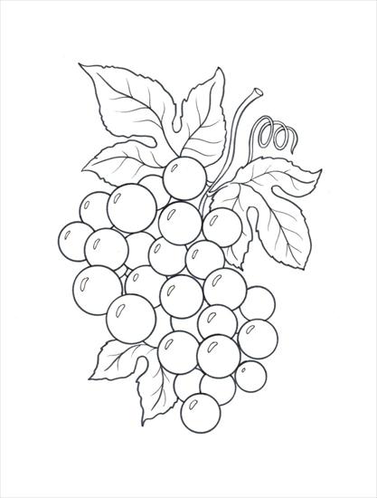 haft płaski - wzory1 - winogrona.bmp