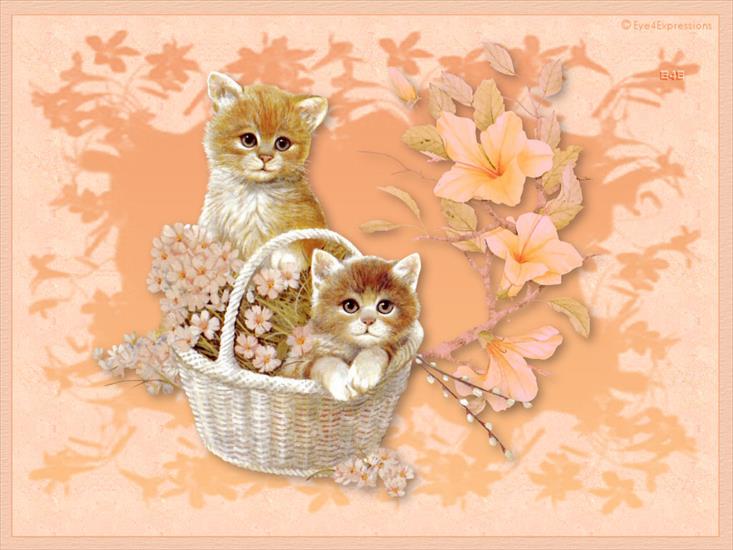 tapety na pulpit - kittens_in_a_basket DesktopNexus.com.jpg