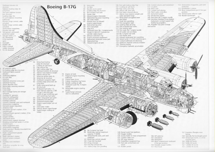 Przekroje - Boeing B-17G.jpg