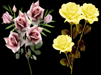 Róże symbol miłości - jzhe8g.gif