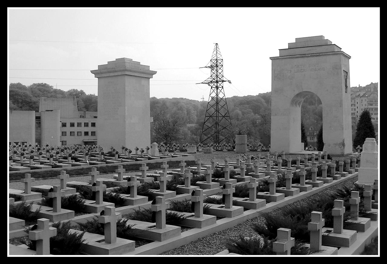 Lwów - Lwów, Cmentarz Orląt 05.jpg