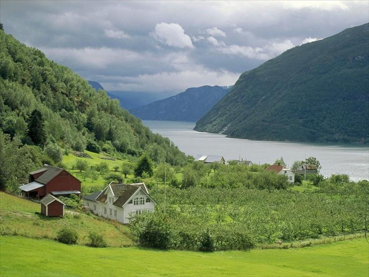 Skandynawia - Urnes, Sognefjord, Norway.jpg