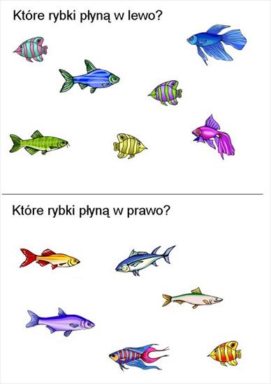  zaznacz odpowiedzi - rybki.jpg