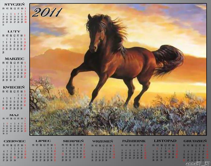 Kalendarze 2011 - anna37_37 561.png