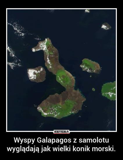 ciekawostki - wyspy galapagos.jpg
