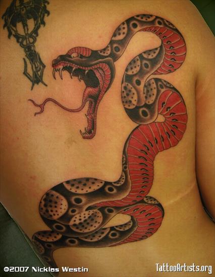 Tatuaże 1 - Img122774_Snake_Karl-1.jpg