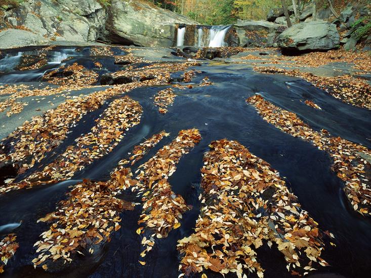 Krajobrazy - Tellico River, Cherokee National Forest, Tennessee.jpg