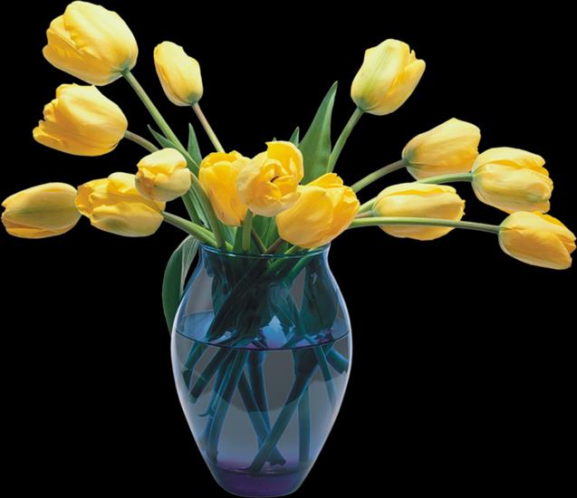 Kwiaty png - zolte-tulipany.jpg.png