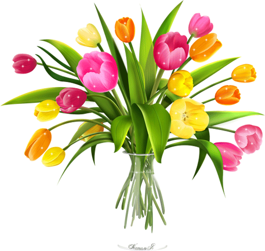 gify-tulipany - tulipany animation kolorowe1_31_41_80.gif