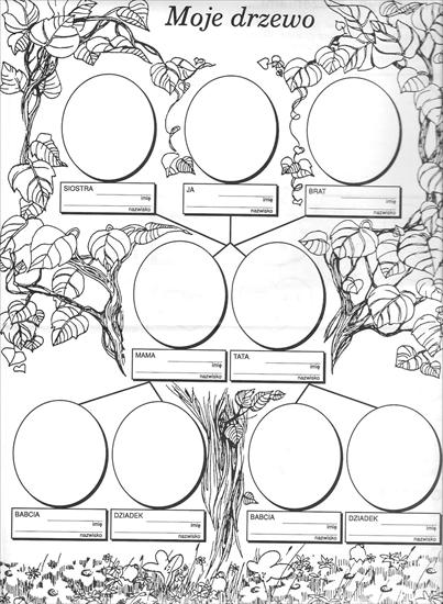 Ja przedszkolak, kodeks przedszkolaka - drzewo genealogiczne 001.jpg