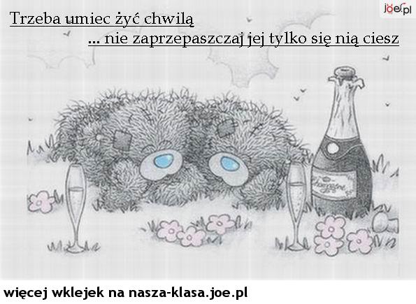 Humor - joe.pl_spiace-misie-przy-butelce-wina.gif