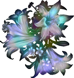 Kwiaty - Blumen300.gif