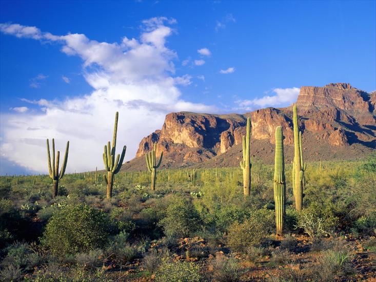 Krajobrazy - Superstition Mountains, Tonto National Forest, Arizona.jpg