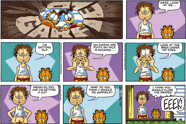 Garfield - Garfield 329.GIF