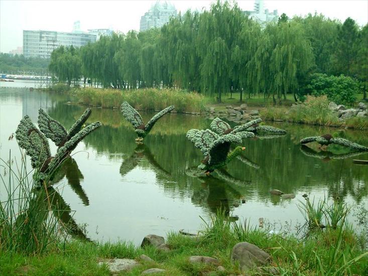 CUDA OGRODNICZE RZĘŹBY Z TRAW I KRZEWÓW   - ogrody stado kaczek.jpg