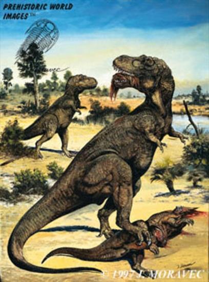dinozaury - tarbosaurus2.jpg