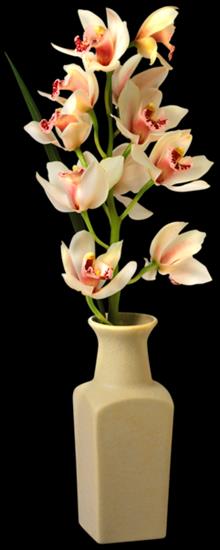 Storczyki - Orchid_in_Vase.png