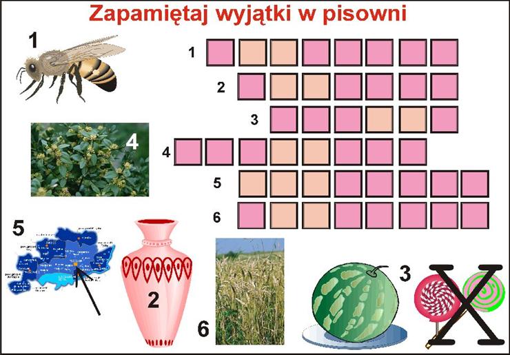 Krzyżówki - kw.jpg