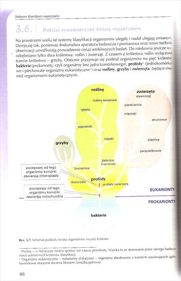 CZESIOZAPRASZA - bio 047.jpg