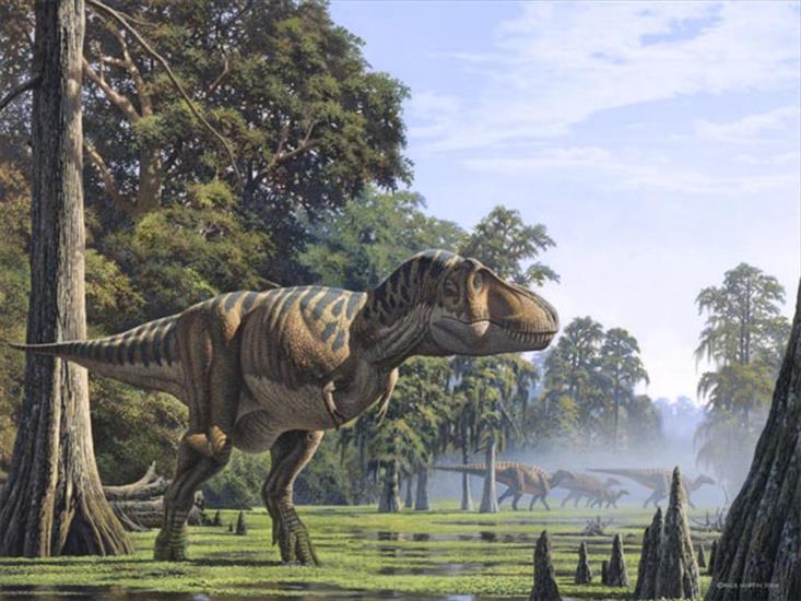 dinozaury - Tyrannosaurus2.jpg
