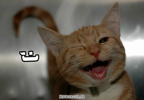 Kocie  demoty - Uśmiechnij się  - .jpg