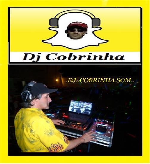 Adesivo Cobrinha - 15 --DJ,Da Night.jpg