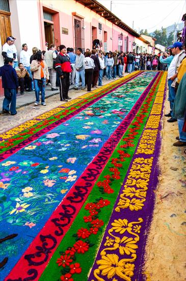 Guatemala-Antigua - floral-holy-week-carpet-antigua-guatemala-april-al...ligious-procession-using-wooden-cardboard-40454329.jpg