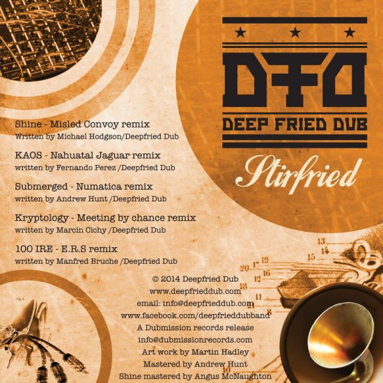 Deep Fried Dub - Stir Fried 2014 - Back.jpg