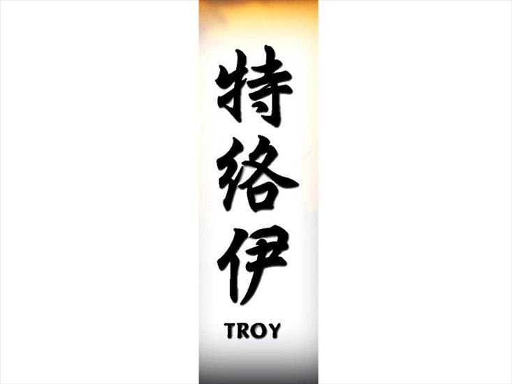 T_800x600 - troy800.jpg