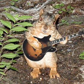 Gify muzyczne - instrumenty - wiewiórka-śpiewa-i-gra-na-gitarze.gif