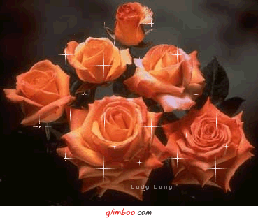 Róże symbol miłości - 5540f775c5970a126002fbc98de117b1_web.gif