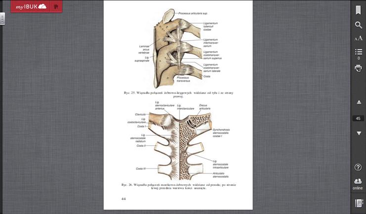 Anatomia - Zrzut ekranu z 2014-10-11 12_33_39.png