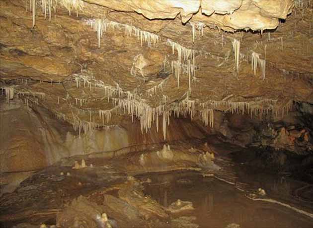 Galeria Grot,Jaskiń w Polsce - Jaskinia Niedzwiedzia w Kletnie.jpg