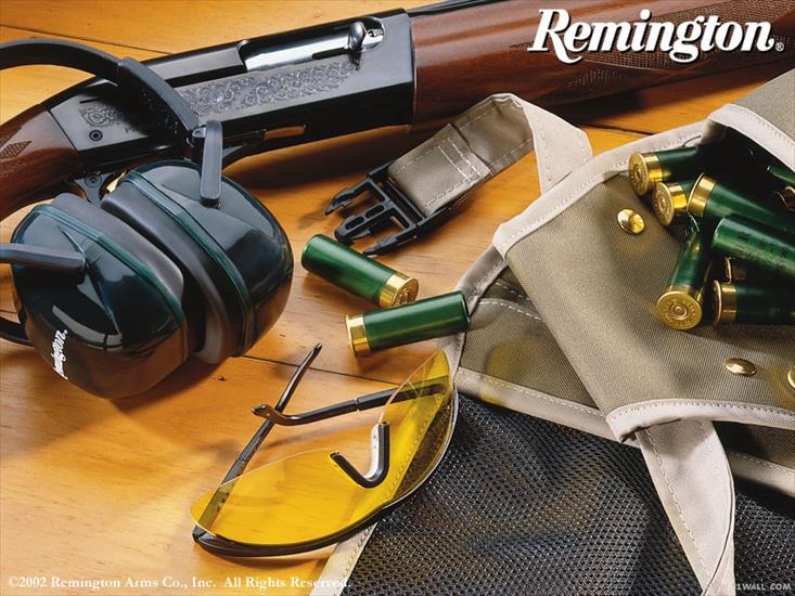 Guns 3 - remington_20.jpg