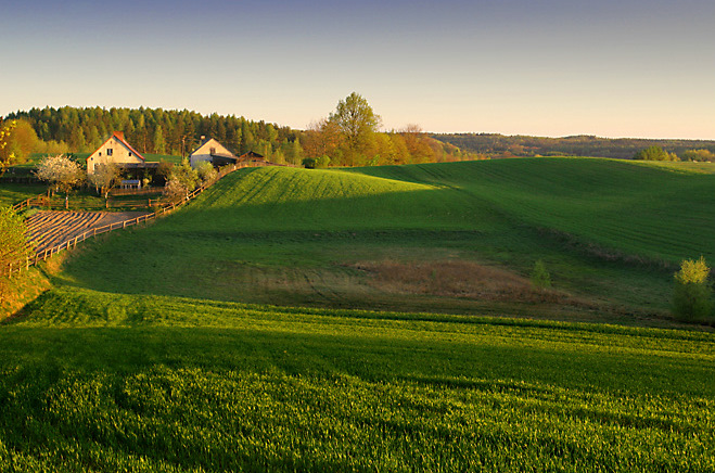 FOTO BORY TUCHOL - Punkt_Widokowy_-_Bory_Tucholskie_35771.jpg